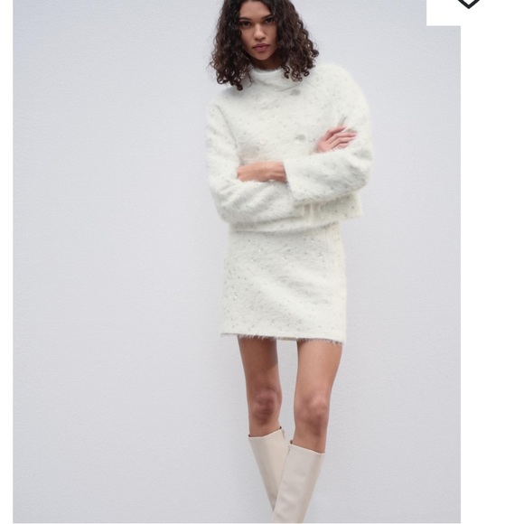 NWT ZARA MINI BEADED SKIRT SIZE S
🚨FINAL PRICE NO ACCEPT OFFERS - Picture 4 of 16